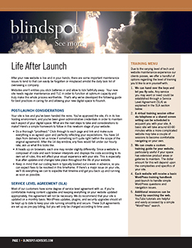 LIFE AFTER LAUNCH